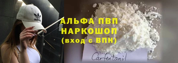 индика Зеленодольск