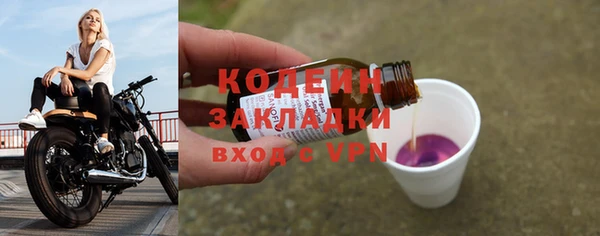 индика Зеленодольск