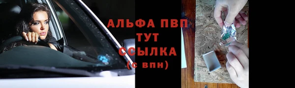 индика Зеленодольск