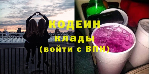 индика Зеленодольск