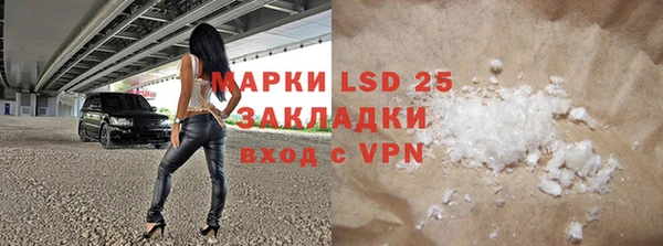 индика Зеленодольск