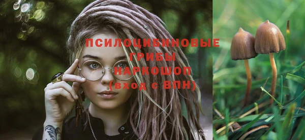 индика Зеленодольск