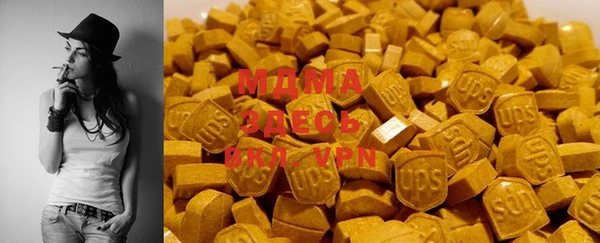 индика Зеленодольск