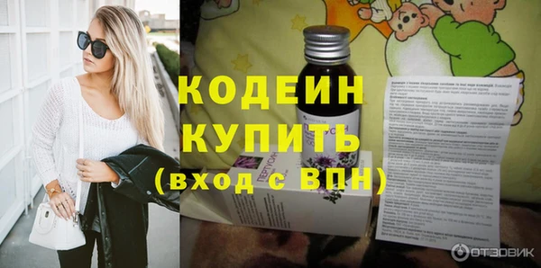 индика Зеленодольск