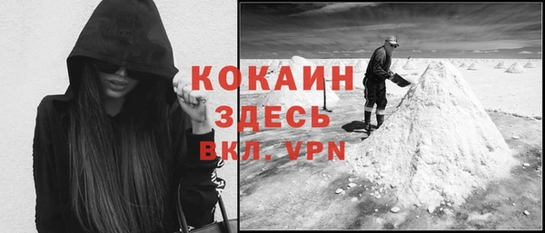 индика Зеленодольск